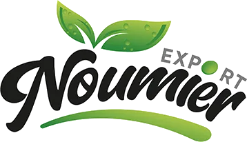 Noumier logo